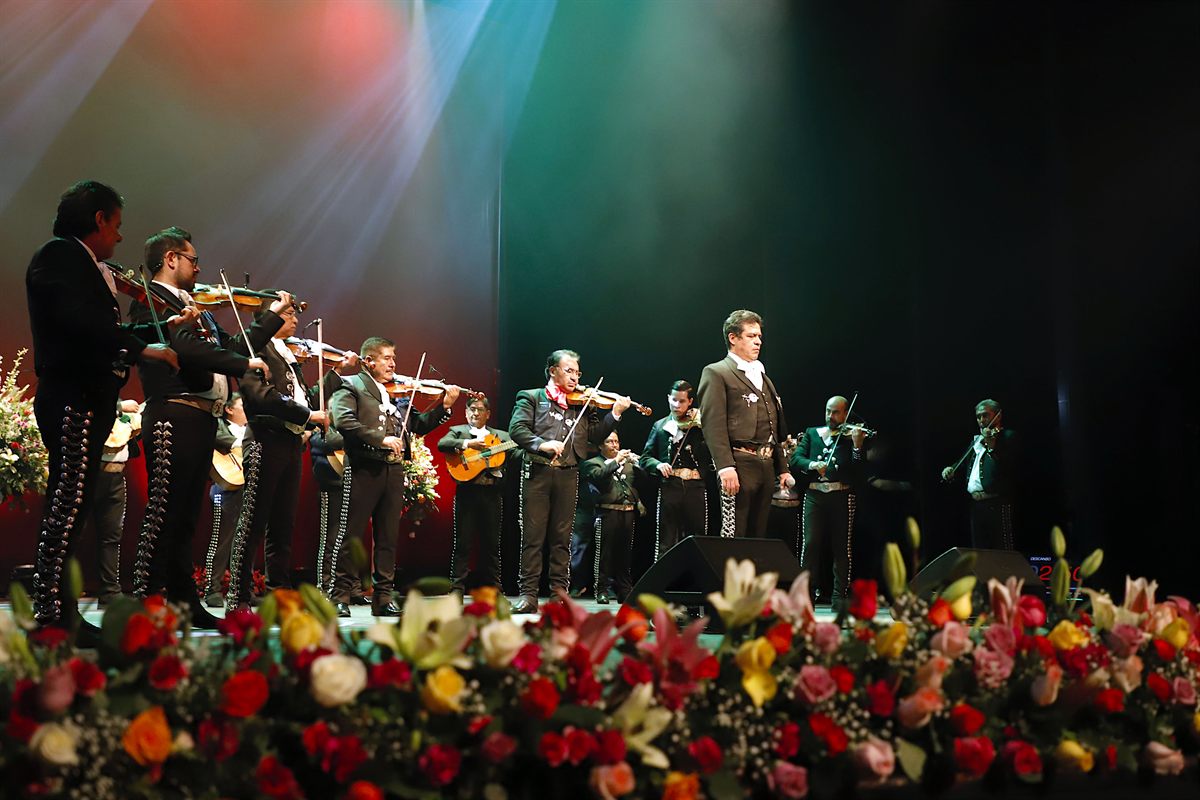 Mariachi tradicional de cuerdas